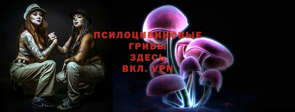прущие крисы Переславль-Залесский
