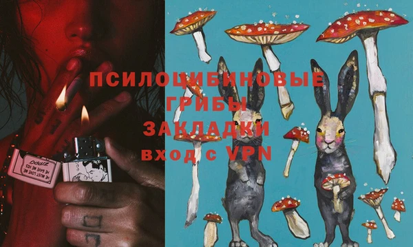 PSILOCYBIN Зеленодольск