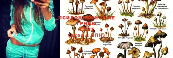 марки lsd Яранск
